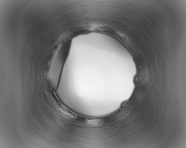 X0000080740461200701021151