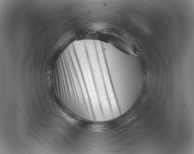 X0000080740462200701021151