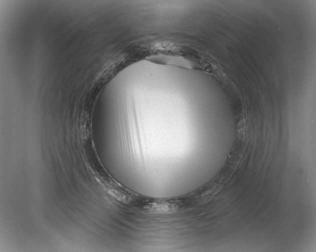 X0000080740464200701021151