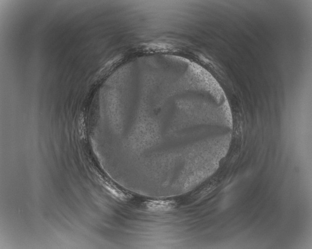 X0000080740465200701021151