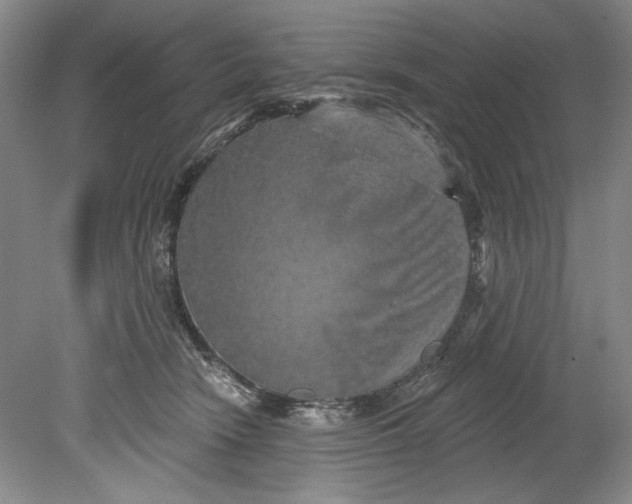 X0000080740466200701021151