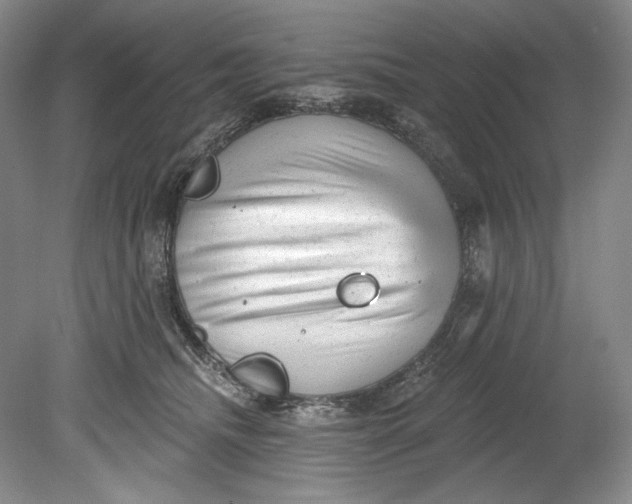 X0000080740468200701021151