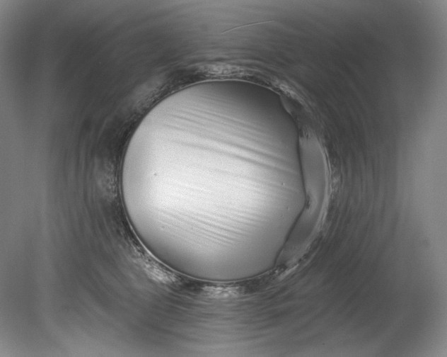 X0000080740469200701021151