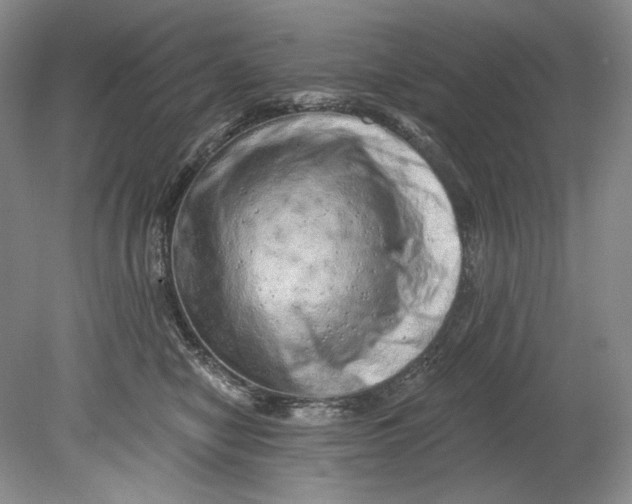 X0000080740470200701021151