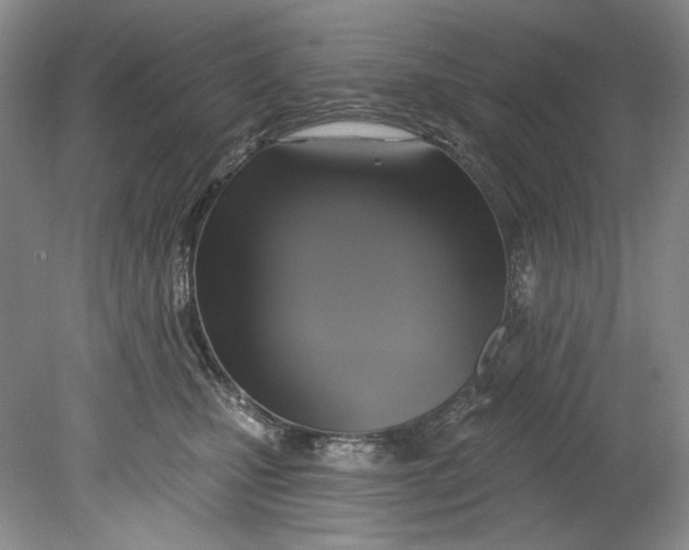 X0000080740471200701021151