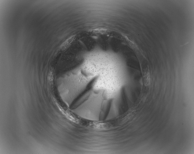 X0000080740472200701021151