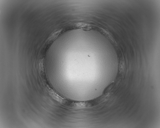 X0000080740473200701021151