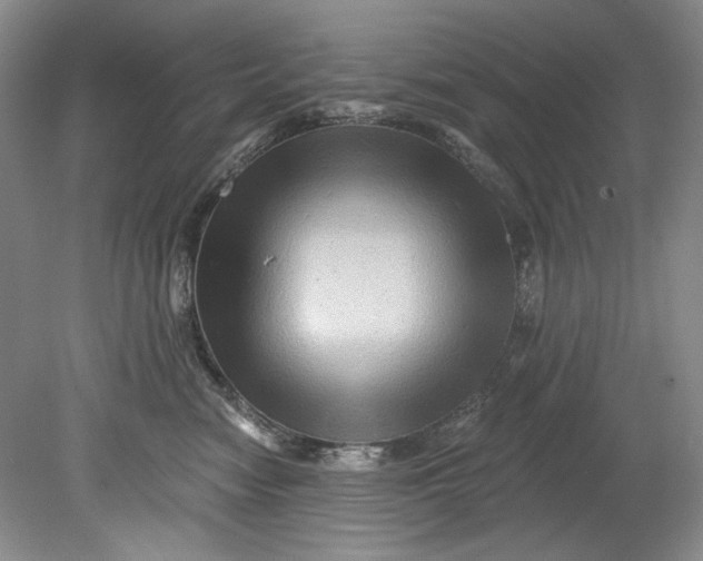 X0000080740474200701021151