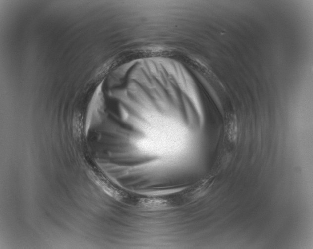 X0000080740476200701021151