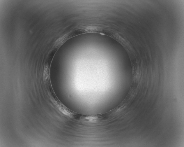 X0000080740478200701021151