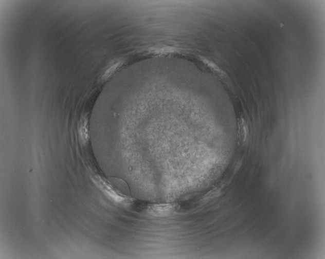 X0000080740479200701021151