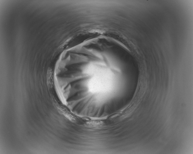 X0000080740480200701021151