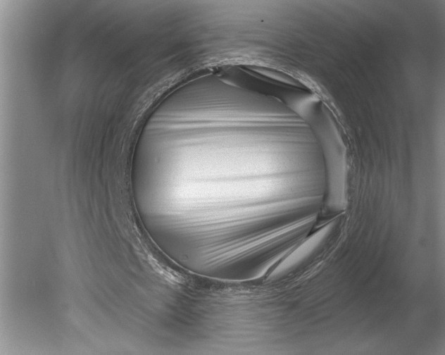 X0000080740481200701021151