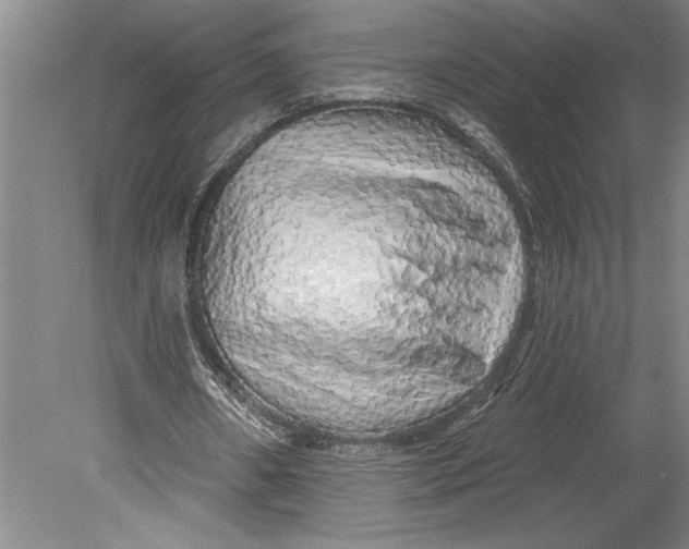 X0000080740482200701021150