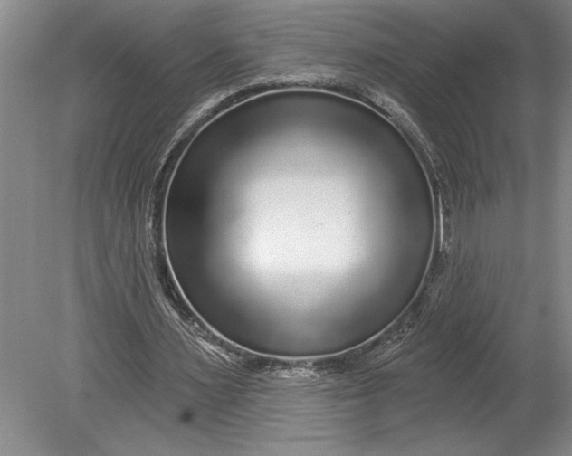 X0000080740483200701021150