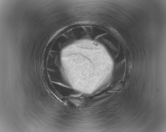 X0000080740484200701021150