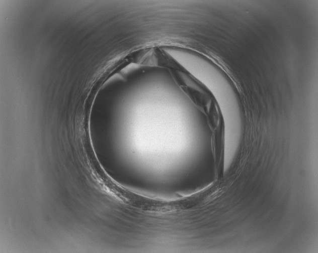 X0000080740485200701021150