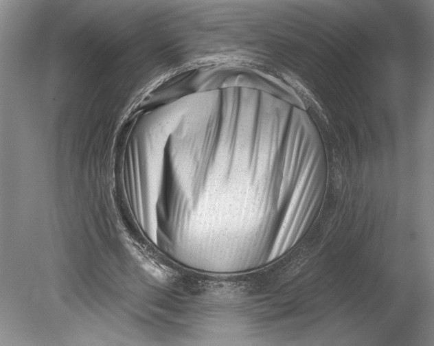 X0000080740486200701021150