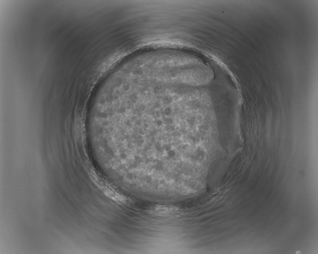 X0000080740487200701021150