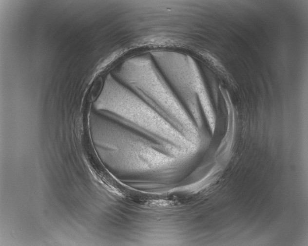 X0000080740488200701021150