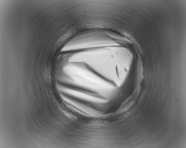 X0000080740489200701021150