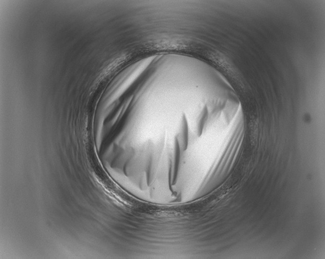 X0000080740490200701021150