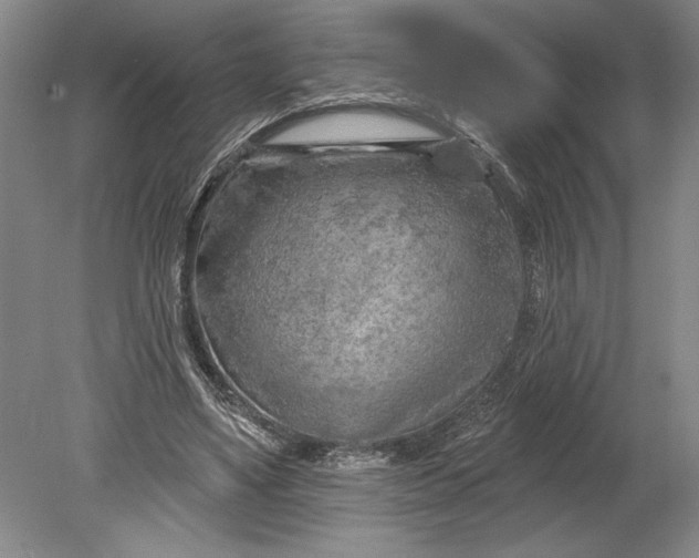 X0000080740491200701021150