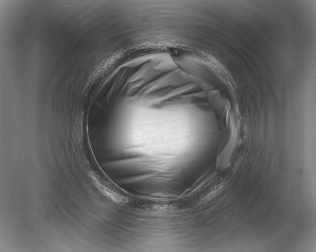 X0000080740493200701021150