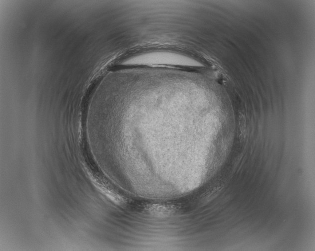 X0000080740494200701021150