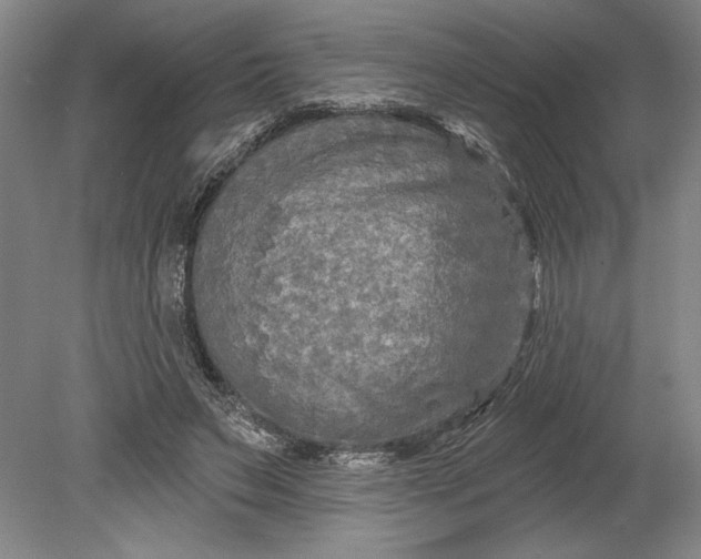 X0000080740495200701021150