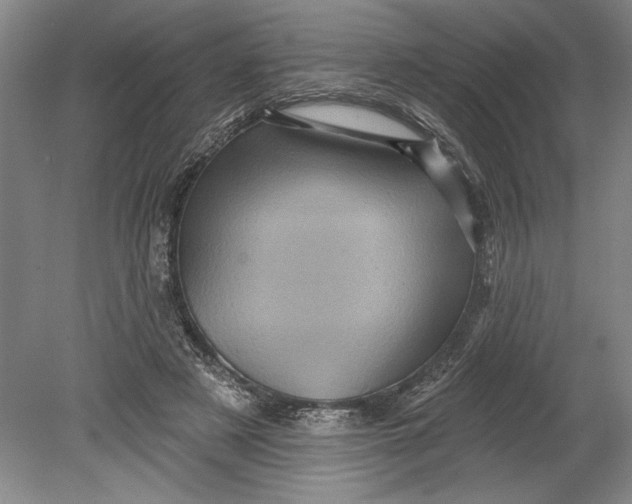 X0000080740497200701021150