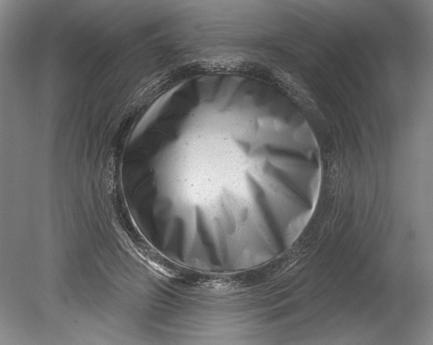 X0000080740498200701021150