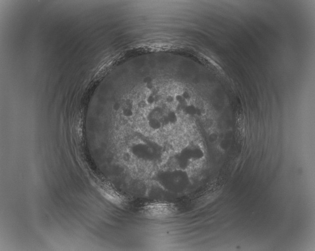 X0000080740499200701021150