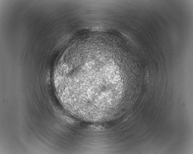 X0000080740502200701021150