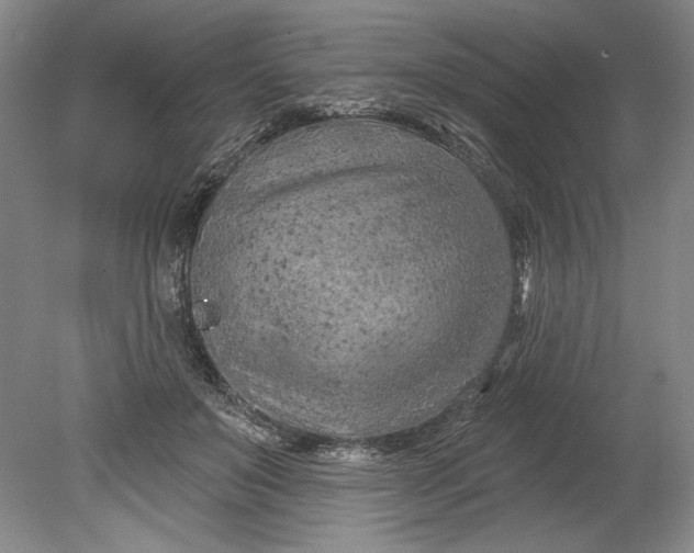 X0000080740503200701021150