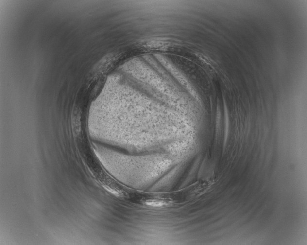 X0000080740504200701021150