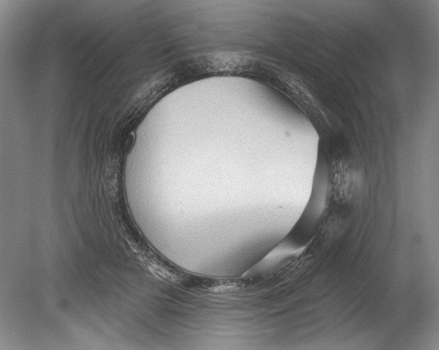 X0000080740505200701021150