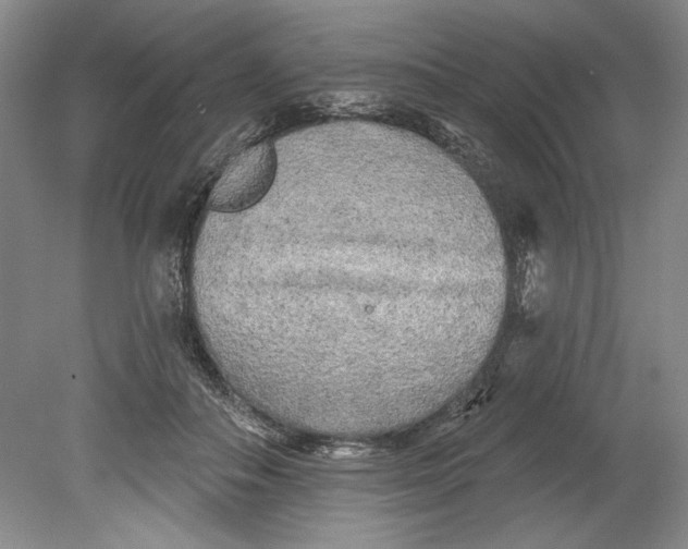 X0000080740506200701021150