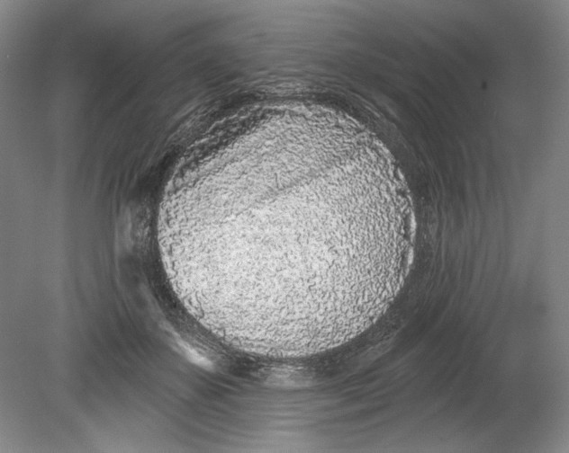 X0000080740507200701021150