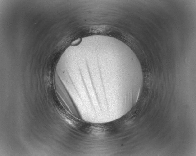 X0000080740510200701021150