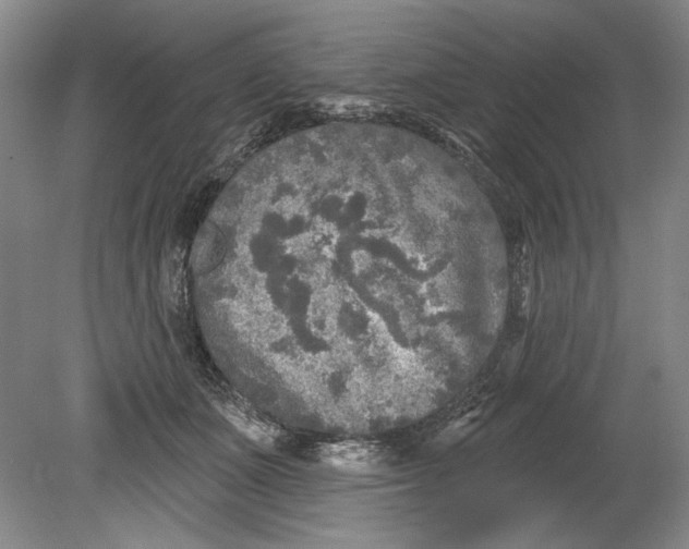 X0000080740511200701021150