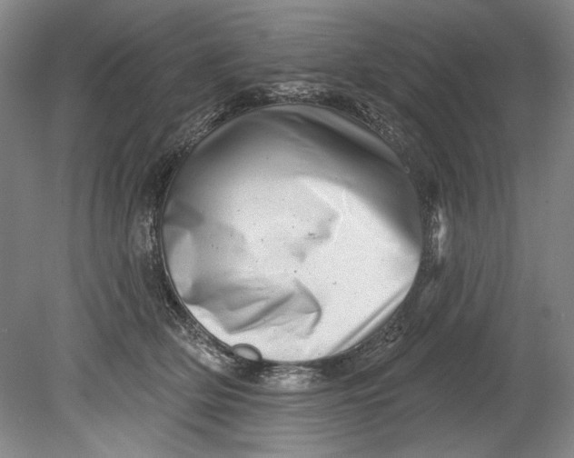 X0000080740514200701021150