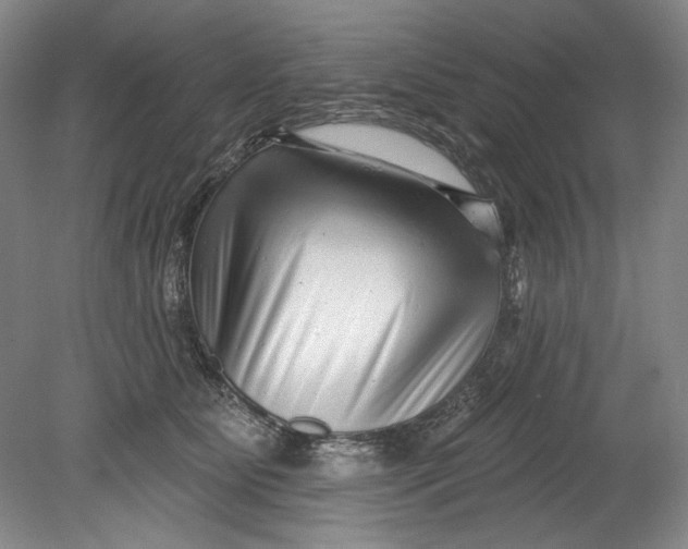 X0000080740515200701021150