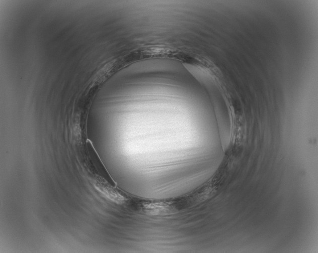 X0000080740516200701021150