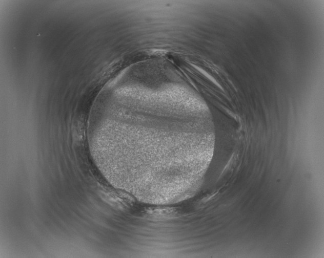 X0000080740517200701021150