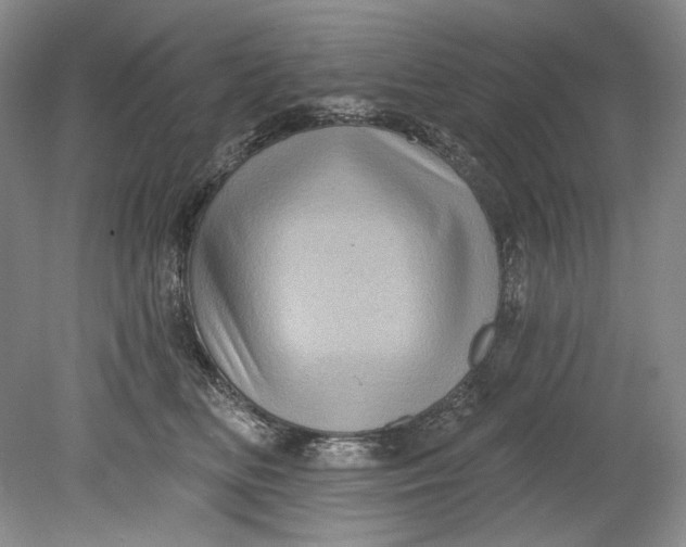 X0000080740518200701021150