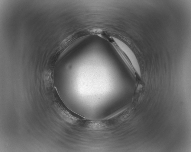 X0000080740521200701021150