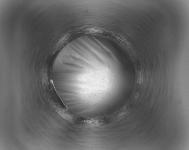 X0000080740524200701021150