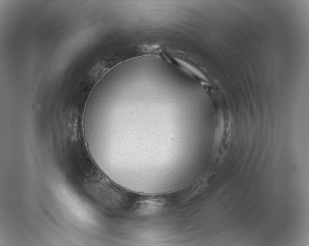 X0000080740525200701021150