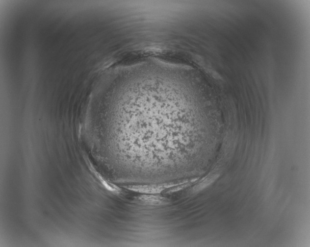 X0000080740528200701021150